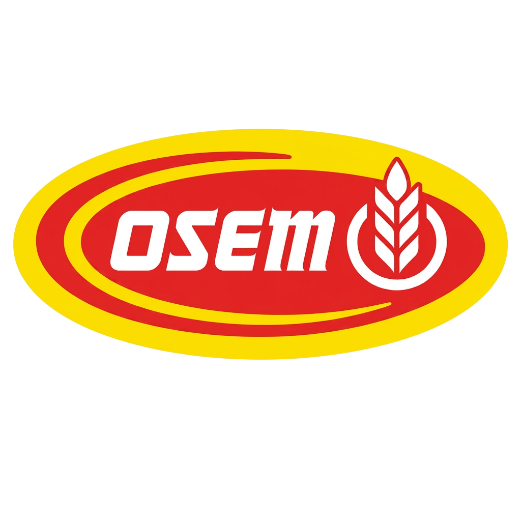 OSEM logo